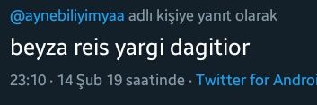 Beyza's banner