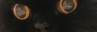 PIMP's banner