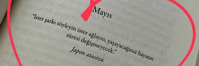 A l ı n t ı Ya ğ m u r u's banner