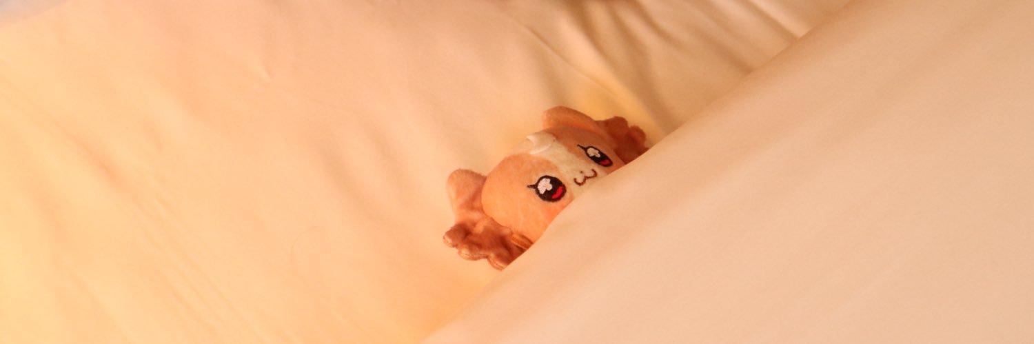 きただ亭🐣's banner