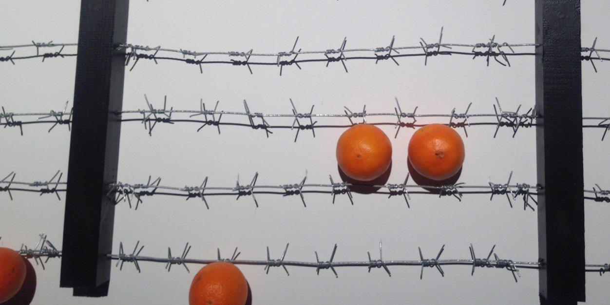 сологуб's banner