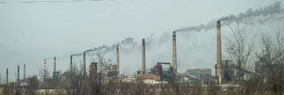 Твентин Карантино's banner