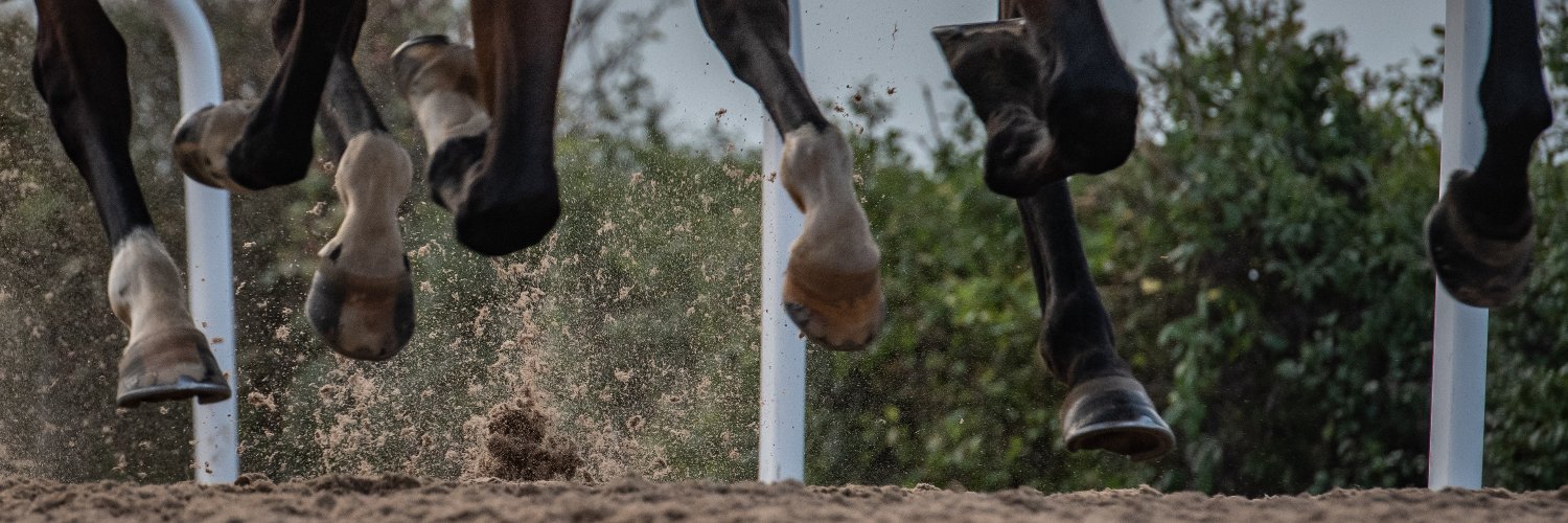 Dan Skelton Racing's banner