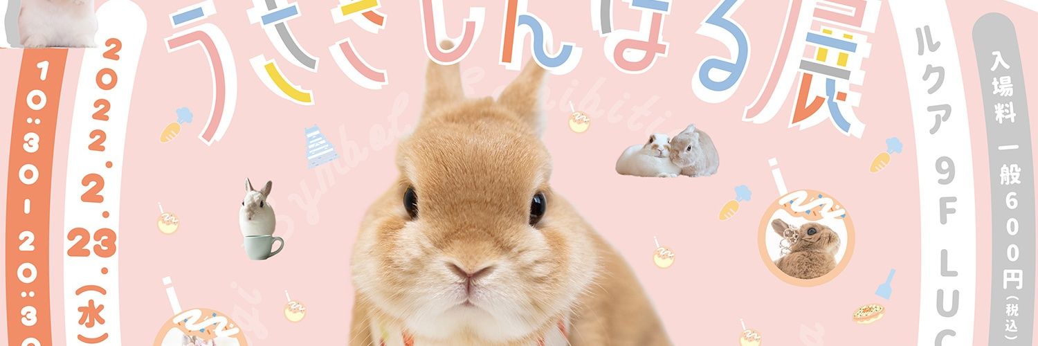 ぴたぽんＸ🐦🐰's banner