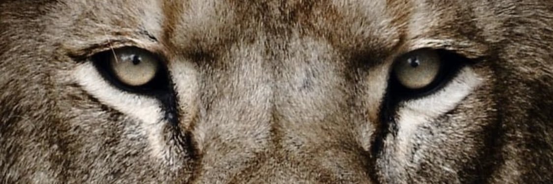 🎙🎤(♌️الرهش))😁 عقيلي's banner