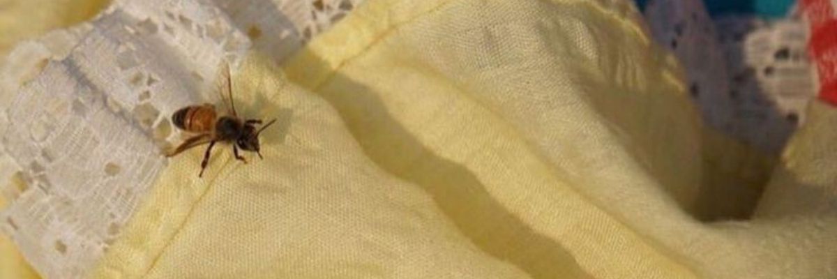 juliette's banner