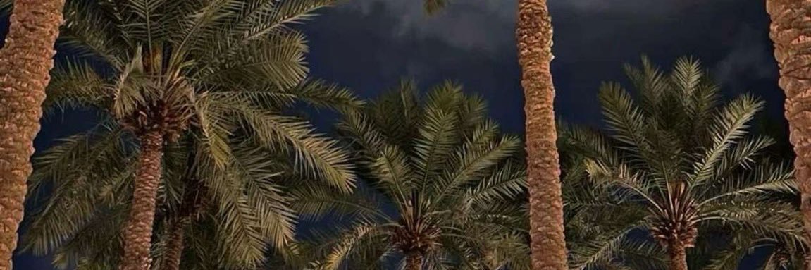 نوره | 🧮 🇸🇦's banner