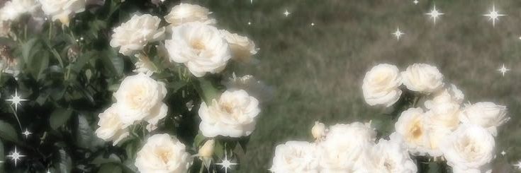 jazzie 🔮's banner