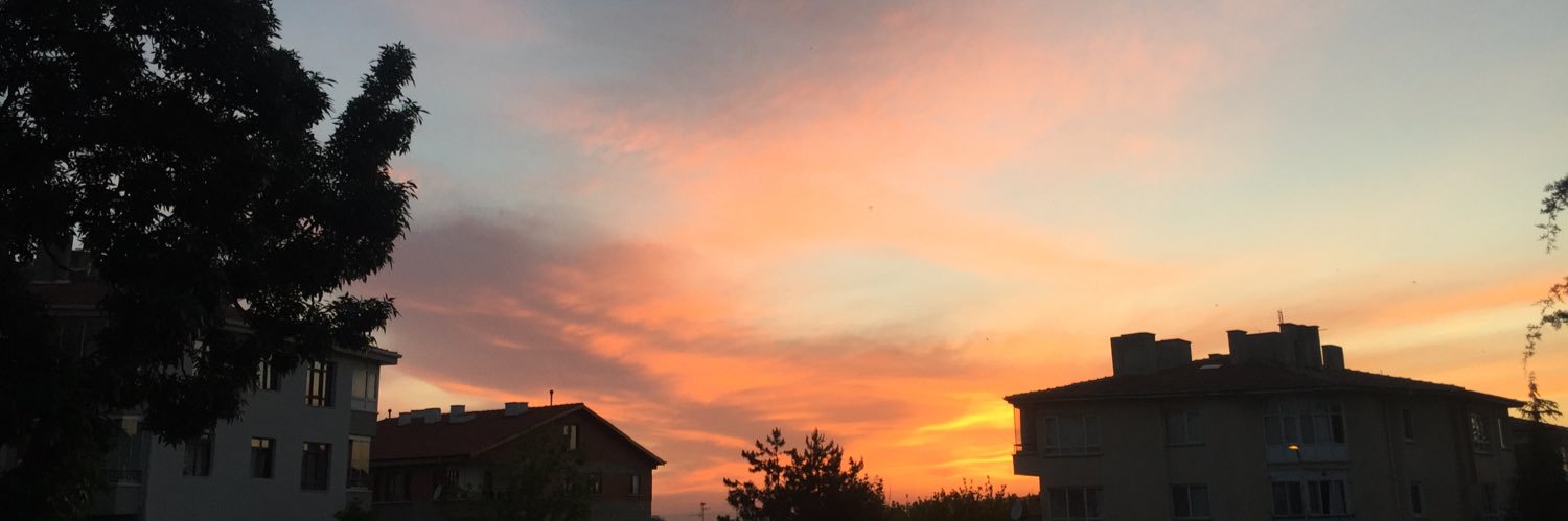 Özge Uyanık's banner
