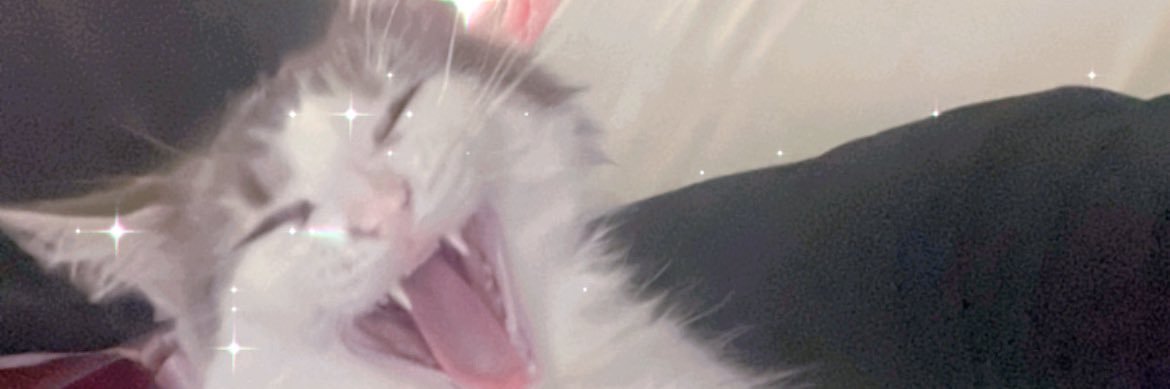 みぃにゃん's banner