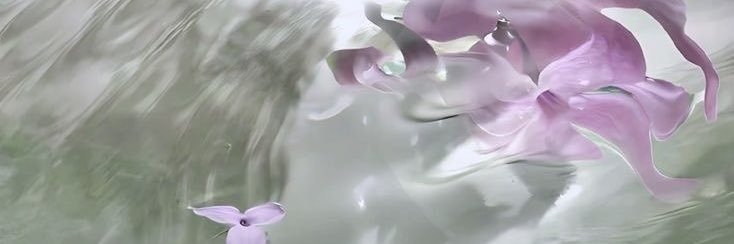 gilliana ❥'s banner