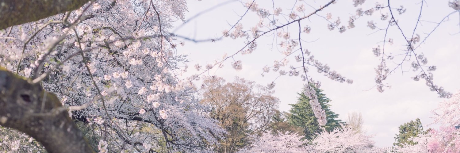 おとろ@9/12 スナックうらみ's banner