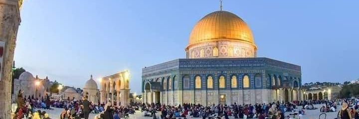 رضا الباشا Rida Albasha's banner