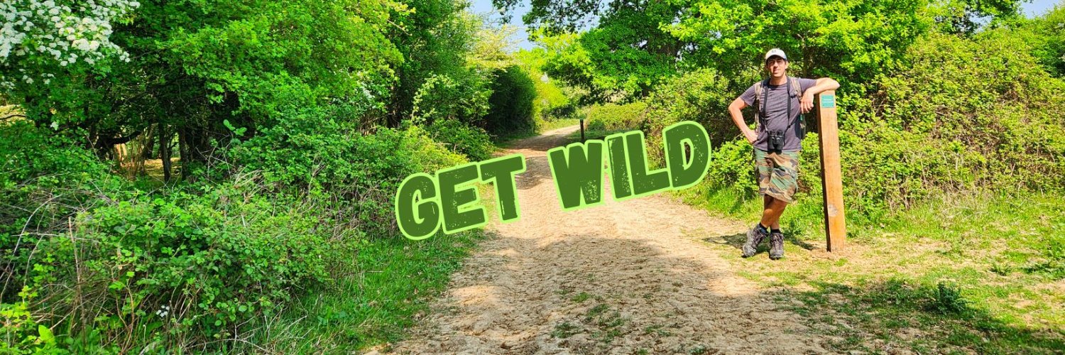 Get Wild 🐦 🦋 🐝 🍃's banner