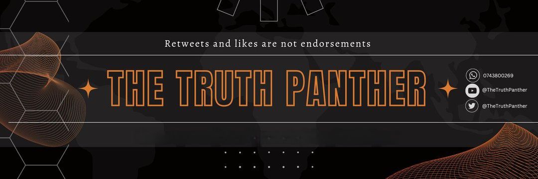 THE TRUTH PANTHER 🇿🇦's banner