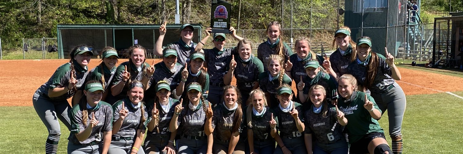 Piedmont Lions Softball's banner