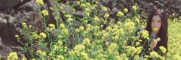 ถั่วเบเบ's banner