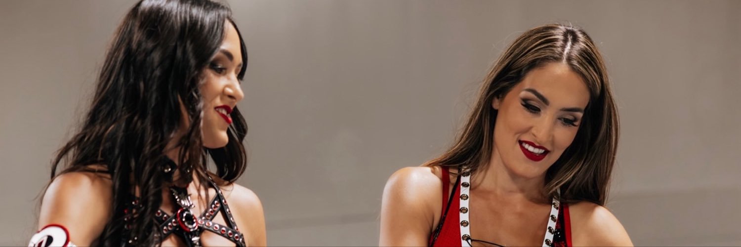 #WomensWrestling's banner