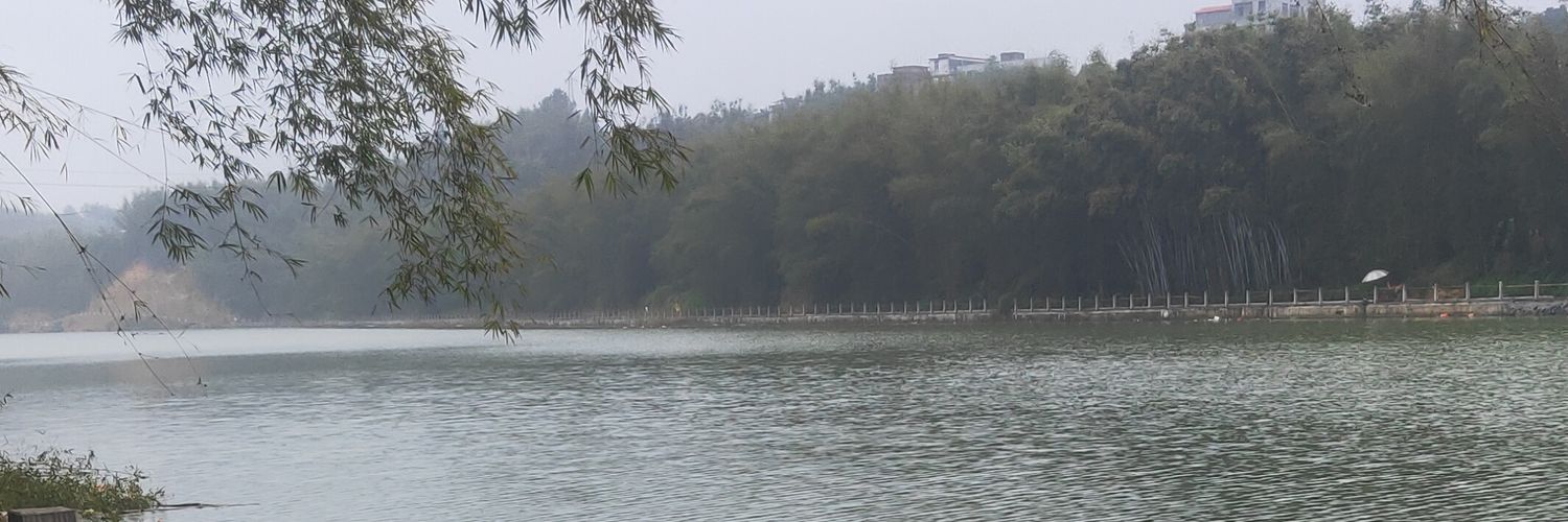 固执的鱼's banner