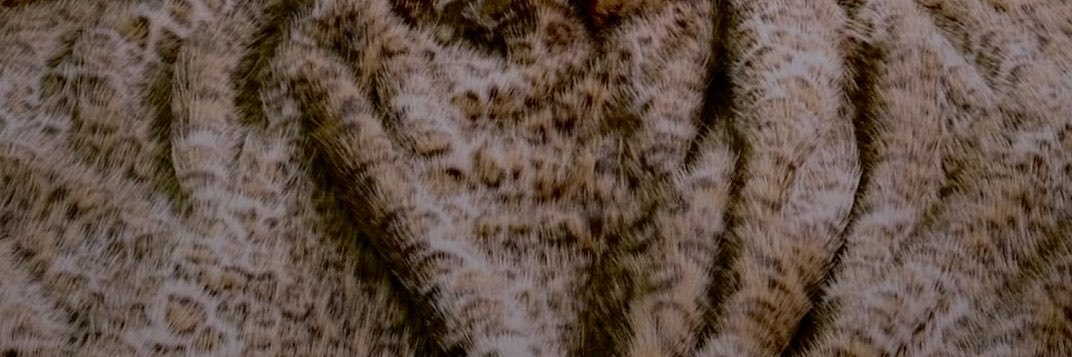 𝒑𝒂𝒔𝒔𝒚 𝒑𝒓𝒊𝒏𝒄𝒆𝒔𝒔 𝜗ৎ's banner