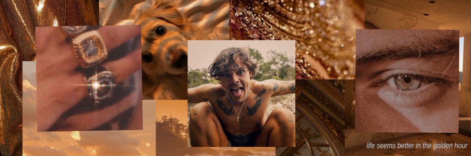 sofia ☽'s banner