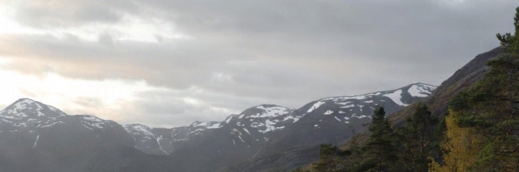 fyfone's banner