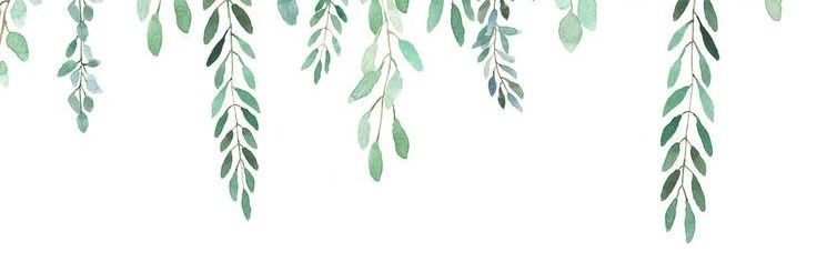 Sharlie ⁷ is not here kinda sorta🍃's banner