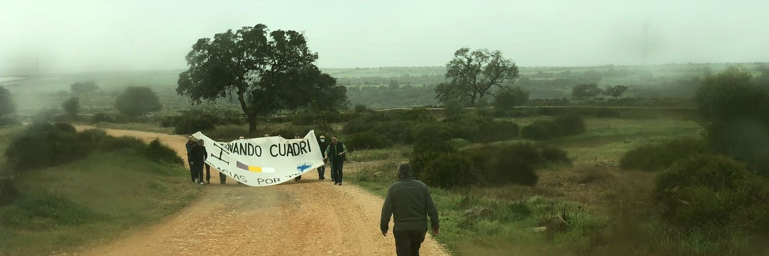 David Castuera's banner