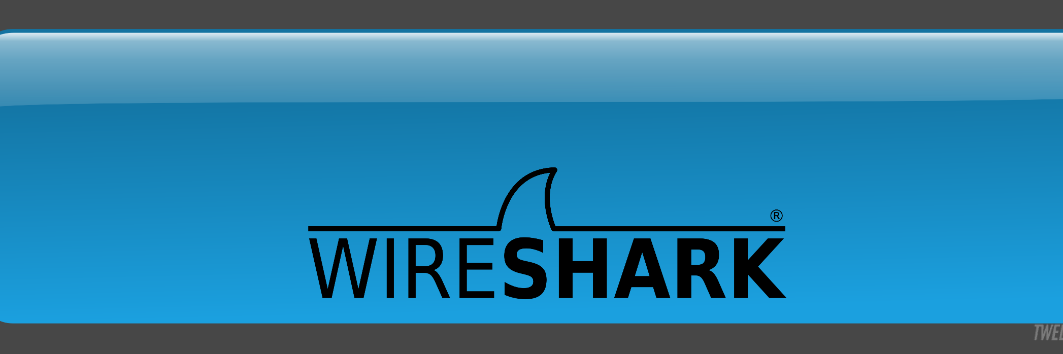 Wireshark Foundation's banner