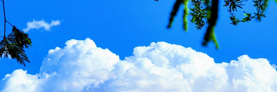 ｊｏｓｈｏ ジ's banner