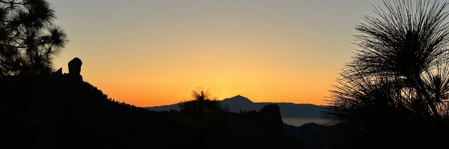 meteograncanaria.com's banner