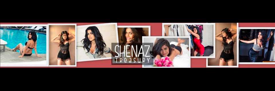 Shenaz Treasury's banner