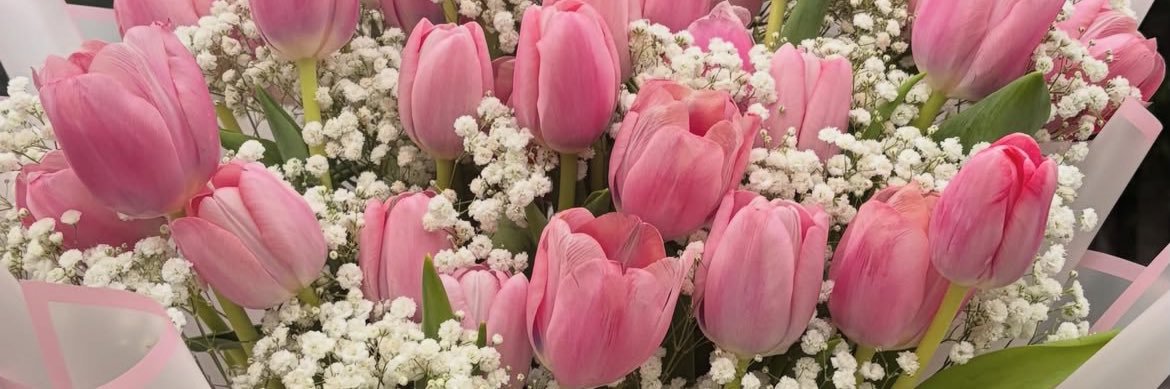 G l e n ✨💐's banner
