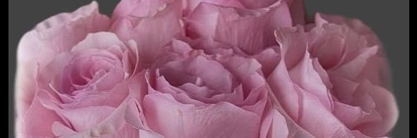 نورهـ's banner