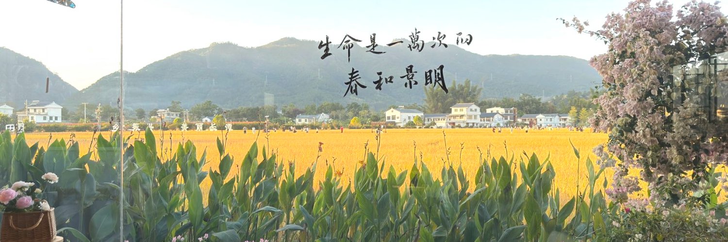Sunny☀️回来啦's banner