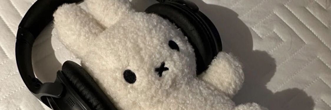 amanda ᡣ𐭩ྀིྀ₊ ⊹'s banner