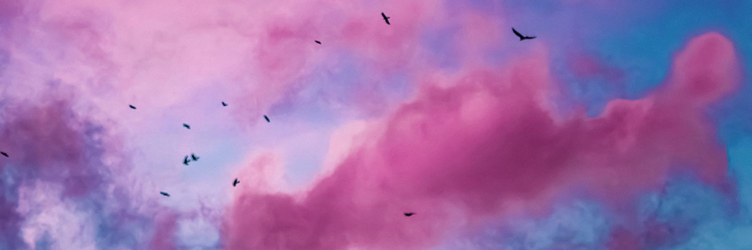 y a n a's banner