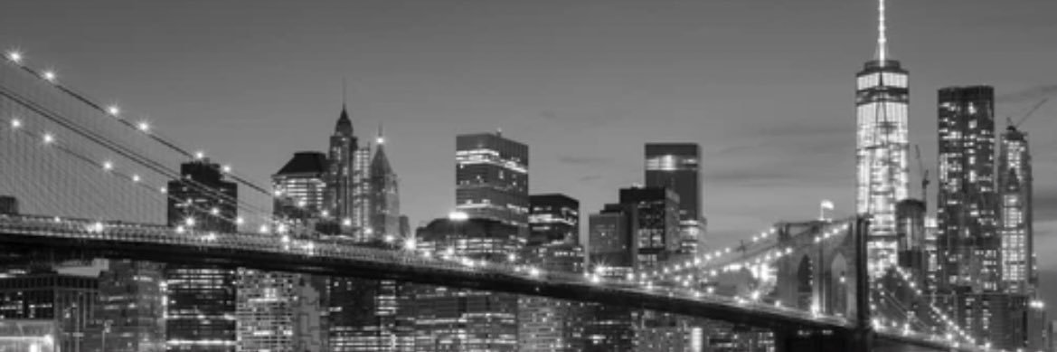 Ximena Flores O.'s banner