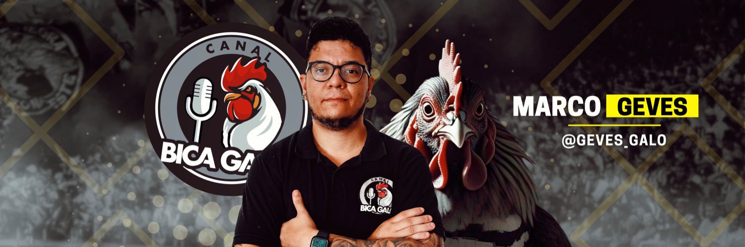 Marco Geves | BICA GALO's banner