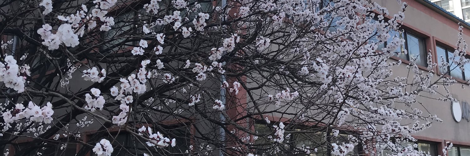 사브리나's banner