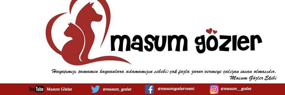 Masum Gözler's banner