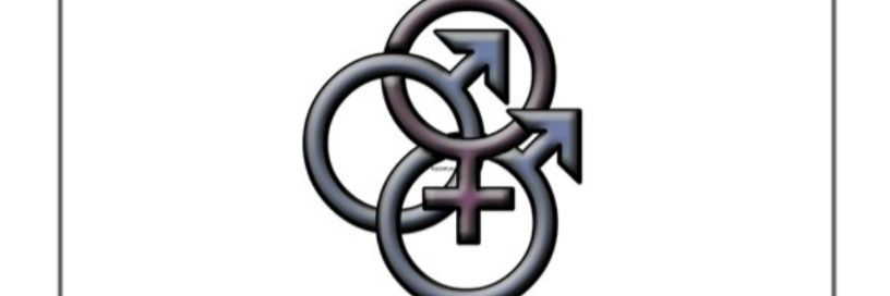 Vixen's_Bi_Stag (28K)'s banner
