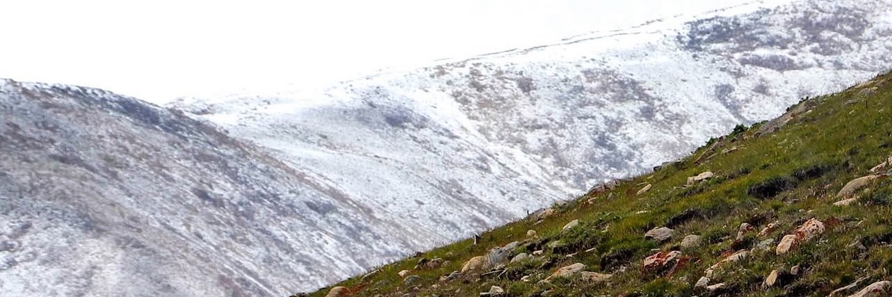 Negdel Sanjsuren's banner