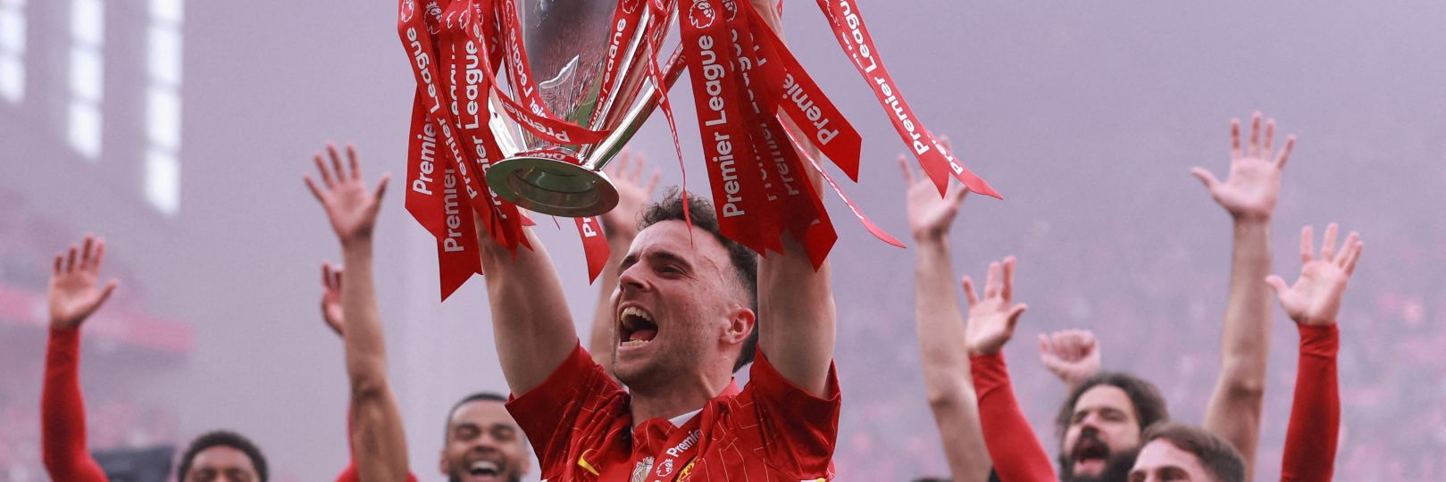 🐦‍🔥's banner