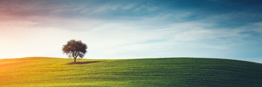 Şahan Gökbakar's banner