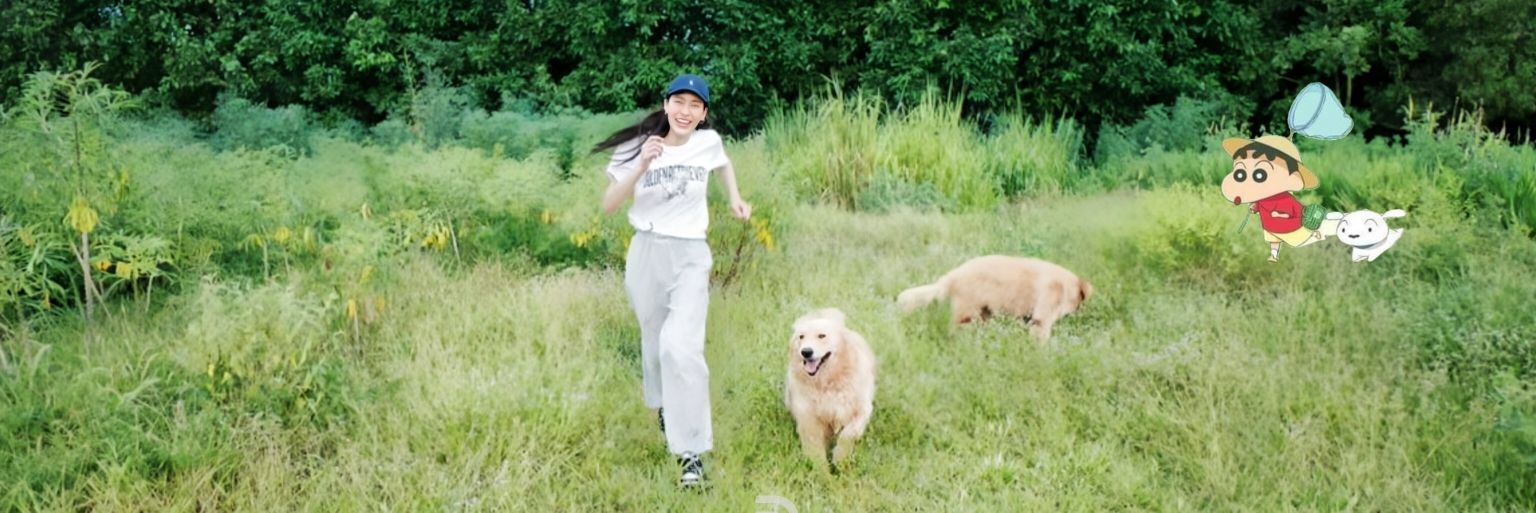 Pungpungชน์ 🌈ᶻ 𝘇 𐰁's banner