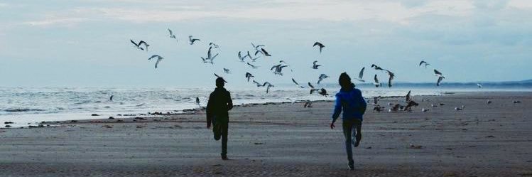 a🕊️'s banner