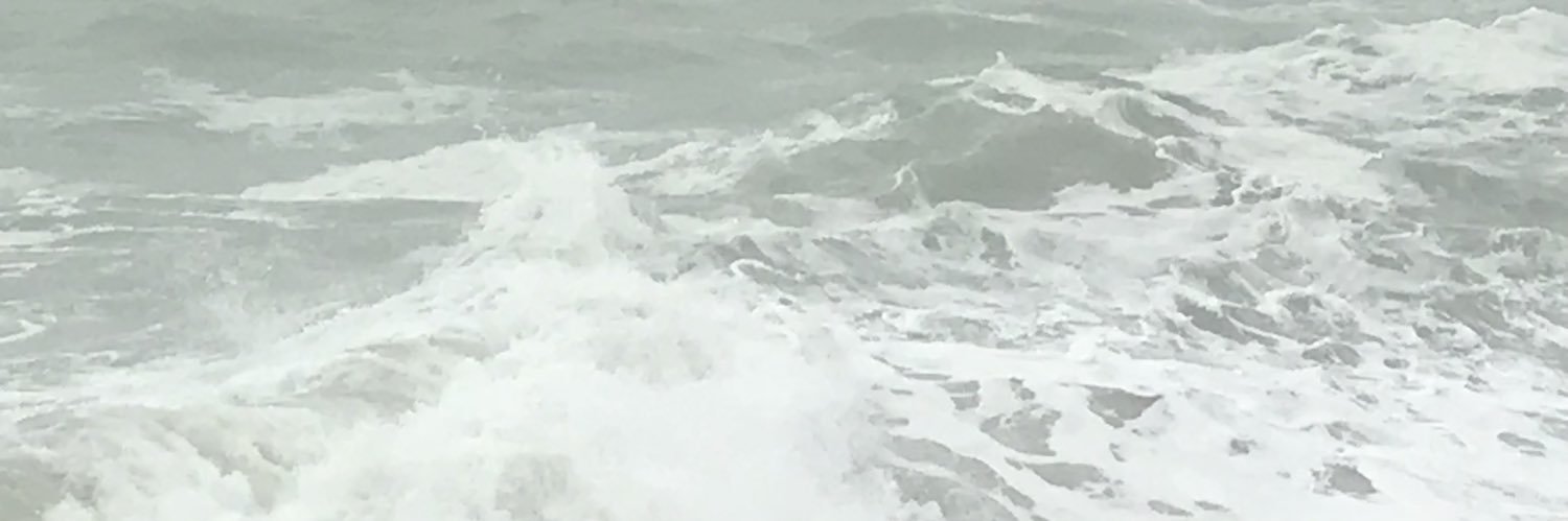 محمدبن حمدالمنظري's banner