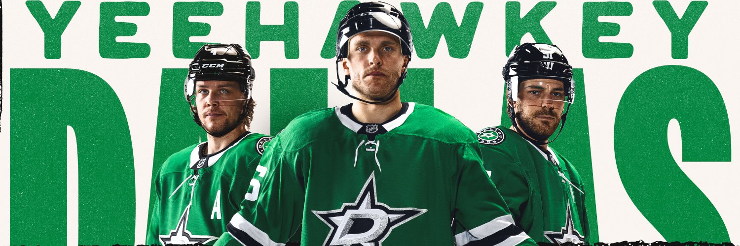 Dallas Stars's banner