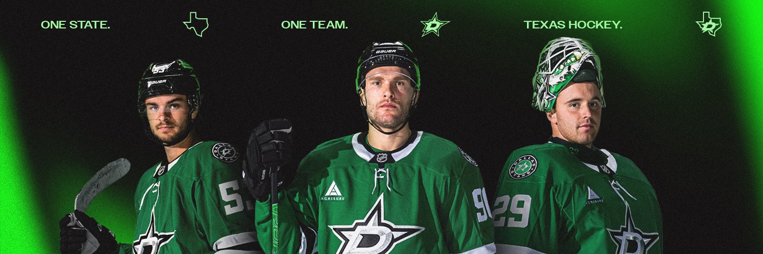Dallas Stars's banner